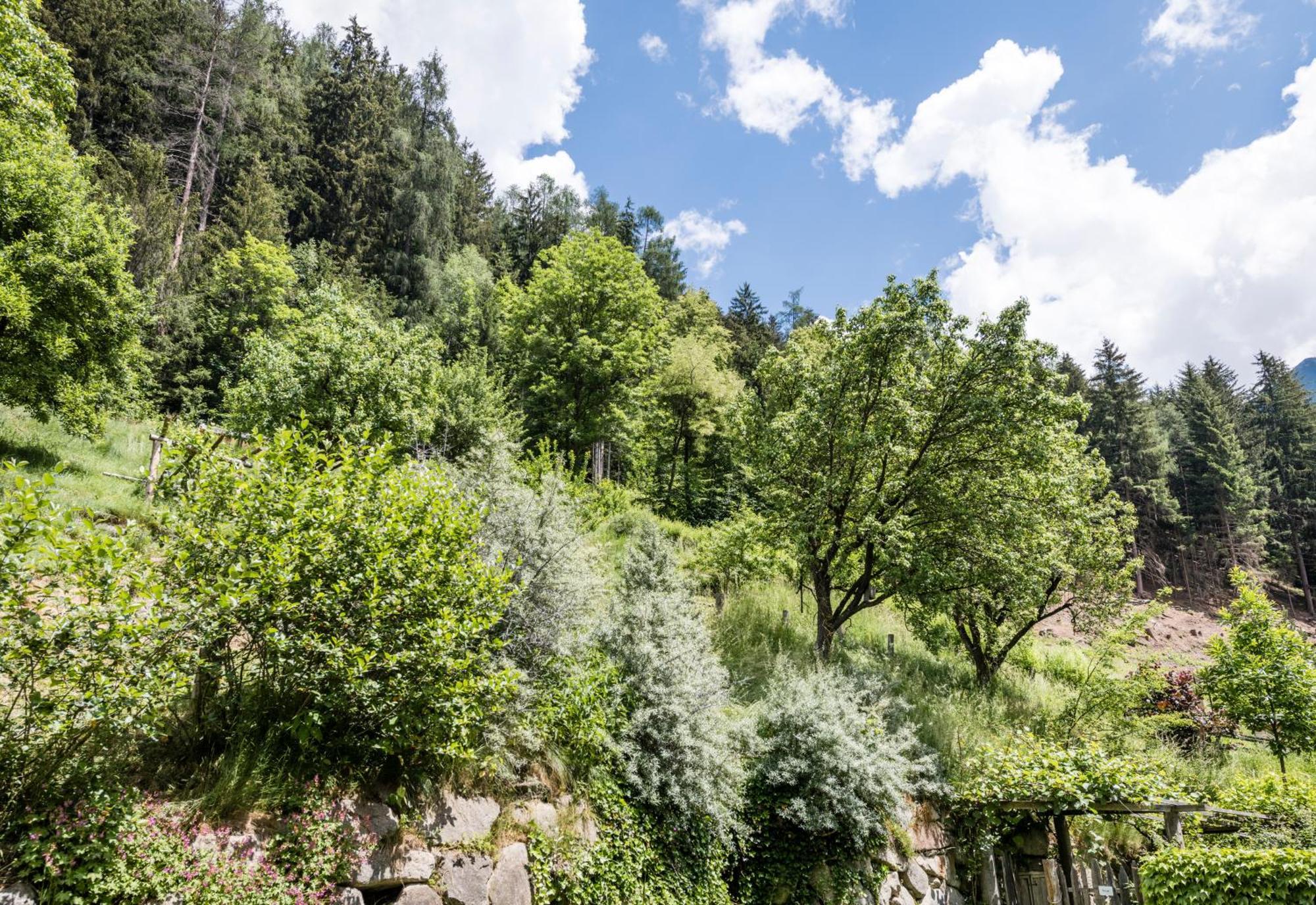 Naturresidenz Mair Zu Hof Campo Tures Zewnętrze zdjęcie